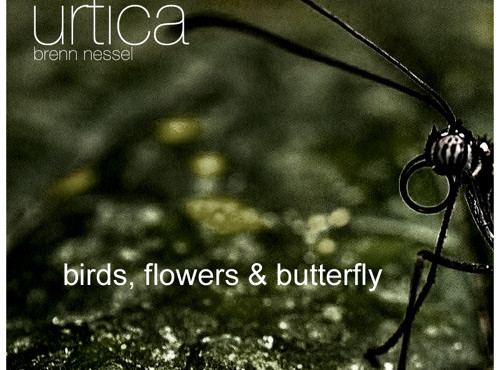 Urtika – birds, flowers & butterfly